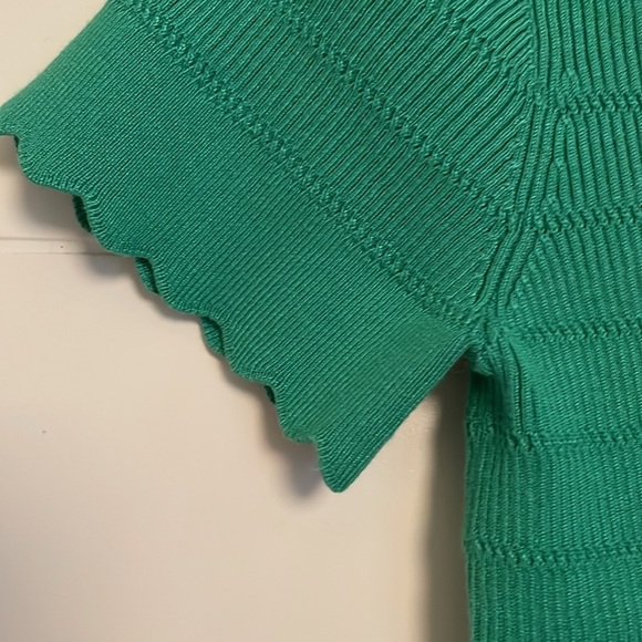 Scallop Too - Picture 3 of 4